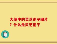 大便中的灵芝孢子图片？什么是灵芝孢子