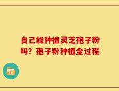 自己能种植灵芝孢子粉吗？孢子粉种植全过程