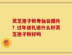 灵芝孢子粉寿仙谷图片？过年送礼送什么好灵芝孢子粉好吗