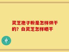 灵芝孢子粉是怎样烘干的？白灵芝怎样晒干