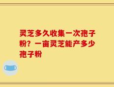灵芝多久收集一次孢子粉？一亩灵芝能产多少孢子粉