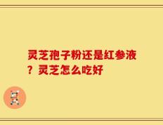 灵芝孢子粉还是红参液？灵芝怎么吃好