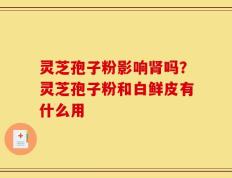 灵芝孢子粉影响肾吗？灵芝孢子粉和白鲜皮有什么用