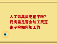 人工采集灵芝孢子粉？药房里是否会加工灵芝孢子粉如何加工的