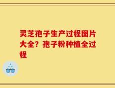 灵芝孢子生产过程图片大全？孢子粉种植全过程