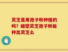 灵芝是用孢子粉种植的吗？破壁灵芝孢子粉能种出灵芝么