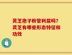 灵芝孢子粉管利尿吗？灵芝有哪些形态特征和功效