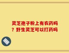 灵芝孢子粉上有农药吗？野生灵芝可以打药吗
