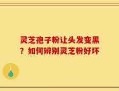 灵芝孢子粉让头发变黑？如何辨别灵芝粉好坏