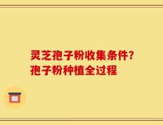 灵芝孢子粉收集条件？孢子粉种植全过程