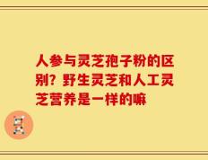 人参与灵芝孢子粉的区别？野生灵芝和人工灵芝营养是一样的嘛