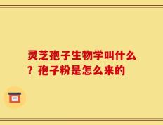 灵芝孢子生物学叫什么？孢子粉是怎么来的