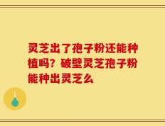 灵芝出了孢子粉还能种植吗？破壁灵芝孢子粉能种出灵芝么