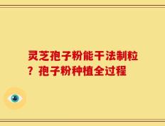 灵芝孢子粉能干法制粒？孢子粉种植全过程
