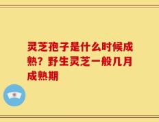 灵芝孢子是什么时候成熟？野生灵芝一般几月成熟期