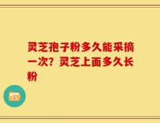 灵芝孢子粉多久能采摘一次？灵芝上面多久长粉