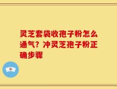 灵芝套袋收孢子粉怎么通气？冲灵芝孢子粉正确步骤