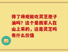 得了痔疮能吃灵芝孢子油吗？这个是我家人在山上采的，这是灵芝吗有什么价值