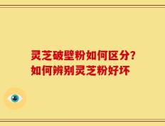 灵芝破壁粉如何区分？如何辨别灵芝粉好坏