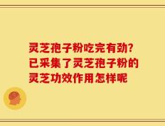 灵芝孢子粉吃完有劲？已采集了灵芝孢子粉的灵芝功效作用怎样呢