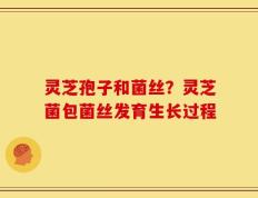 灵芝孢子和菌丝？灵芝菌包菌丝发育生长过程