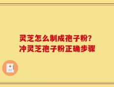 灵芝怎么制成孢子粉？冲灵芝孢子粉正确步骤