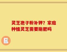 灵芝孢子粉补钾？家庭种植灵芝需要施肥吗