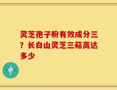 灵芝孢子粉有效成分三？长白山灵芝三萜高达多少