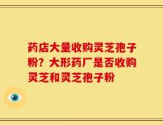 药店大量收购灵芝孢子粉？大形药厂是否收购灵芝和灵芝孢子粉