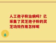 人工孢子粉治病吗？已采集了灵芝孢子粉的灵芝功效作用怎样呢