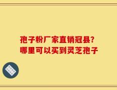 孢子粉厂家直销冠县？哪里可以买到灵芝孢子