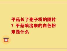 平菇长了孢子粉的图片？平菇喷出来的白色粉末是什么