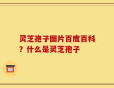 灵芝孢子图片百度百科？什么是灵芝孢子