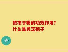 孢孢子粉的功效作用？什么是灵芝孢子