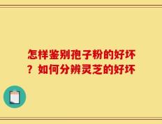 怎样鉴别孢子粉的好坏？如何分辨灵芝的好坏