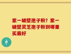 紫一破壁孢子粉？紫一破壁灵芝孢子粉到哪里买最好