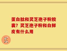 蛋白肽和灵芝孢子粉胶囊？灵芝孢子粉和白鲜皮有什么用
