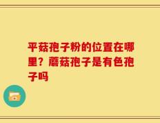 平菇孢子粉的位置在哪里？蘑菇孢子是有色孢子吗