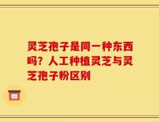 灵芝孢子是同一种东西吗？人工种植灵芝与灵芝孢子粉区别
