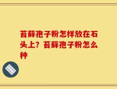 苔藓孢子粉怎样放在石头上？苔藓孢子粉怎么种