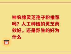 神农牌灵芝孢子粉推荐吗？人工种植的灵芝药效好，还是野生的好为什么