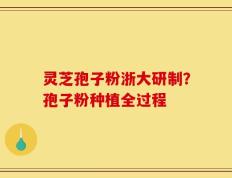 灵芝孢子粉浙大研制？孢子粉种植全过程