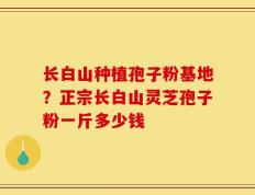 长白山种植孢子粉基地？正宗长白山灵芝孢子粉一斤多少钱