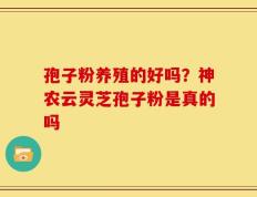 孢子粉养殖的好吗？神农云灵芝孢子粉是真的吗