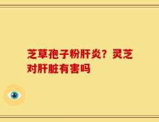 芝草孢子粉肝炎？灵芝对肝脏有害吗