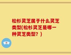 松杉灵芝属于什么灵芝类型(松杉灵芝是哪一种灵芝类型？)