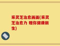 采灵芝治愈画面(采灵芝治愈力 赠你健康新生)