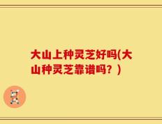 大山上种灵芝好吗(大山种灵芝靠谱吗？)