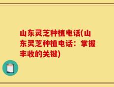 山东灵芝种植电话(山东灵芝种植电话：掌握丰收的关键)