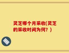 灵芝哪个月采收(灵芝的采收时间为何？)